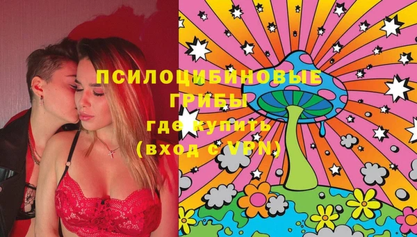 спиды Няндома