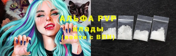 спиды Няндома