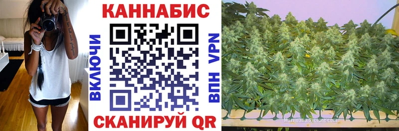 кракен маркетплейс  Кирс  Бошки Шишки Bruce Banner  где продают  